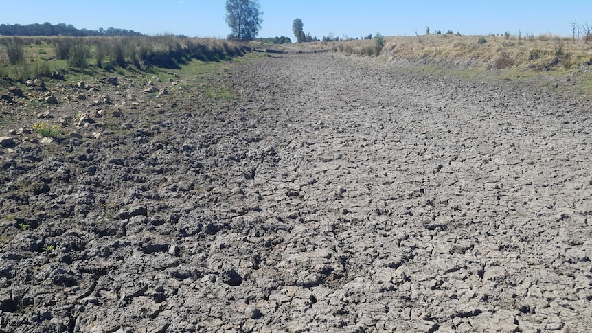 A wide dry river bed running through open paddocks on a flood plain on Tony Saul's property