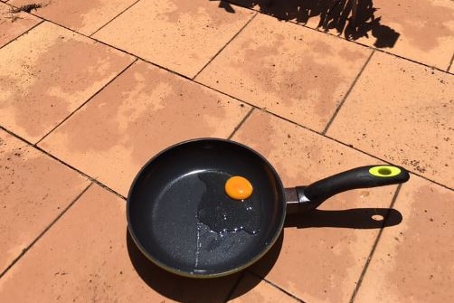 Testing to see if an egg cooks in the sun in Mullumbimby