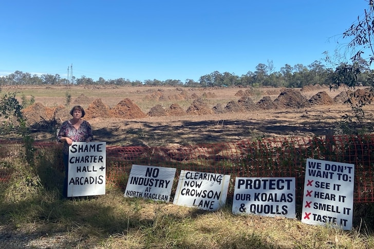 A woman stands with anti-land clearing signs.