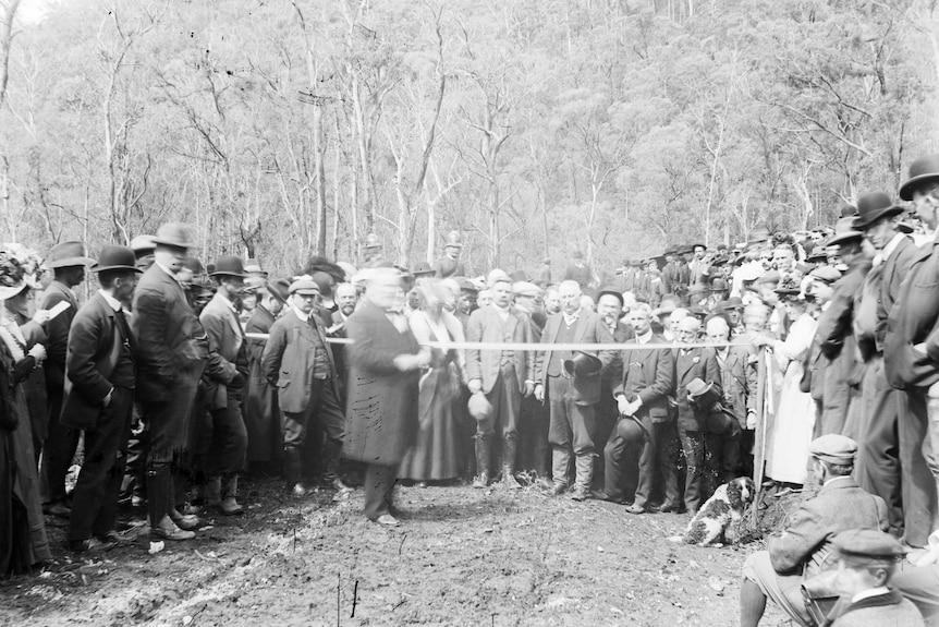 Men stand in the bush ready to cut a ribbon for a cleared road.