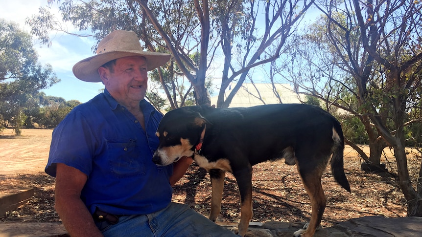 A farmer sitting on a stone wall with his dog