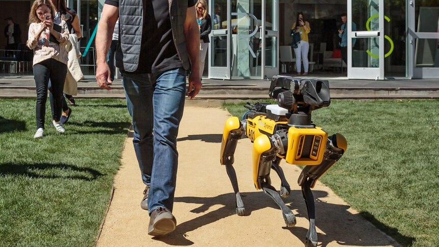 Amazon chief Jeff Bezos goes for a walk with a SpotMini robot.