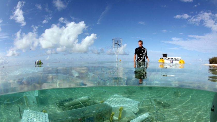 Simulating the future: part of the underwater carbon dioxide trial on a coral reef off Heron Island