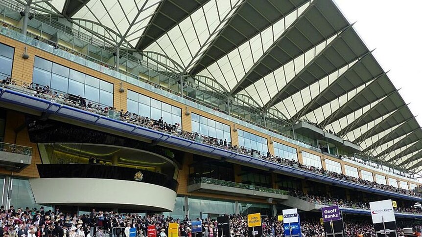 The crowd looks out from the grandstand at Royal Ascot.