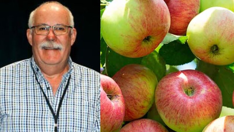 balc man with spectacles and grey moustache and close up of red and green apples