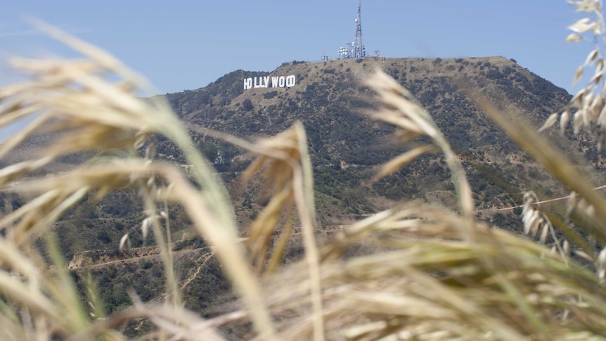 California heatwave showing Hollywood sign