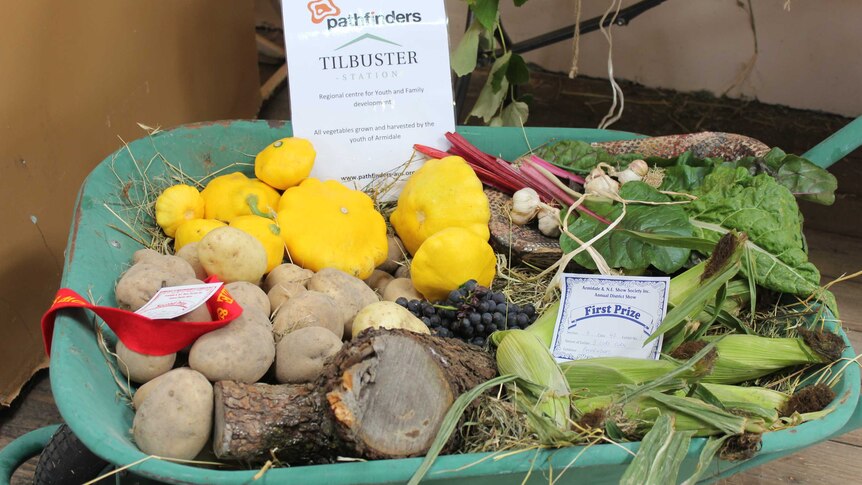 Potatoes, silver beet and corn lie in a green wheelbarrow on display at the Armidale Show.