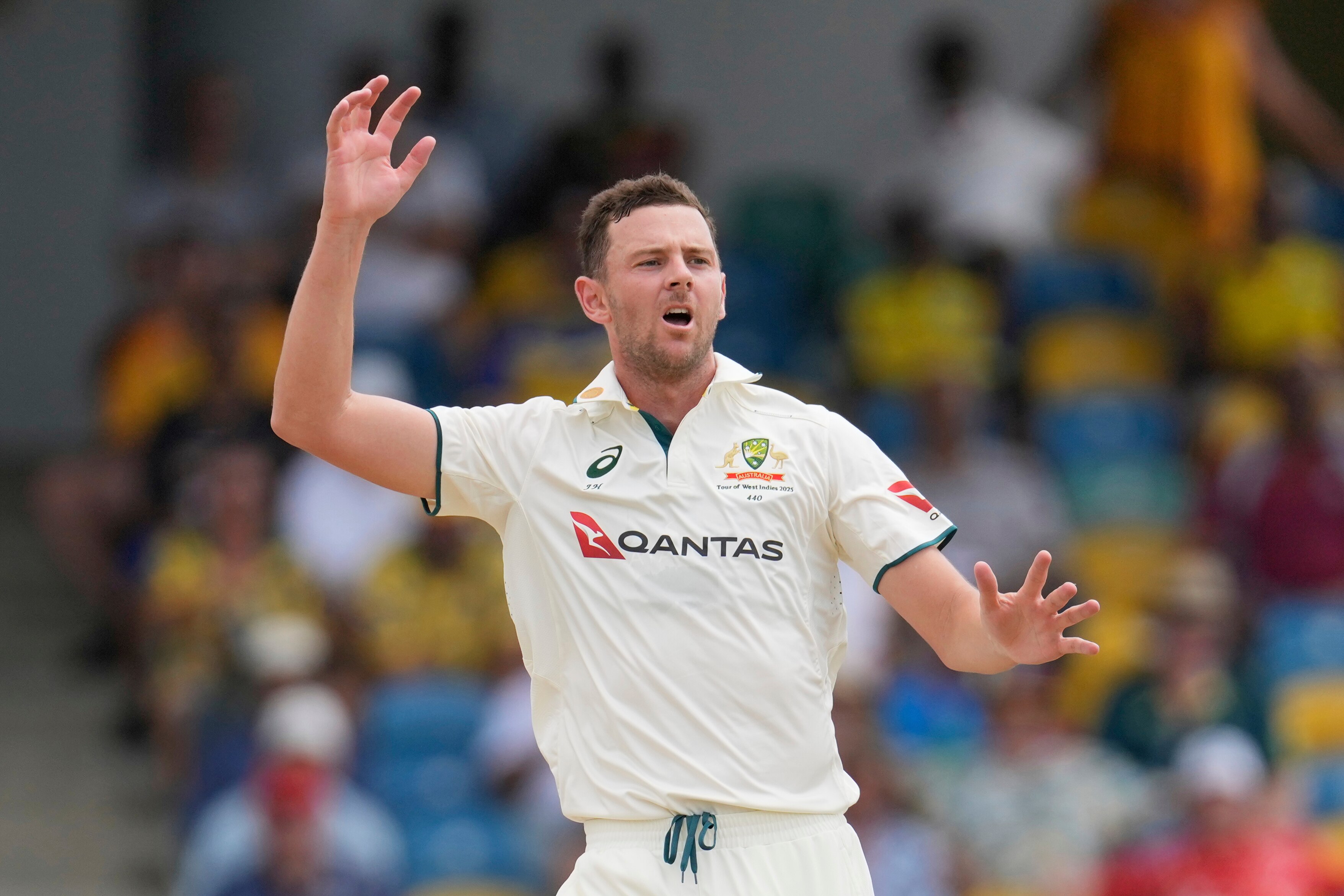 A male cricketer has his arm in the air with his mouth open in front of blurred spectators.