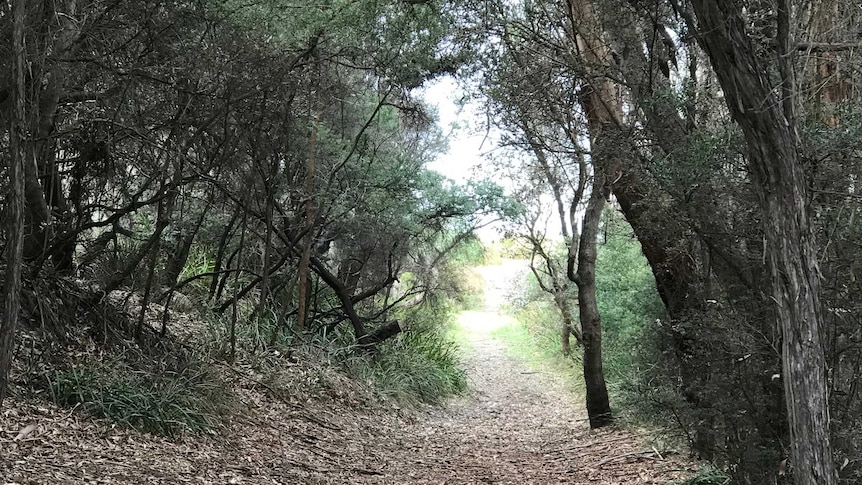 A path leads to the ocean at East Cape