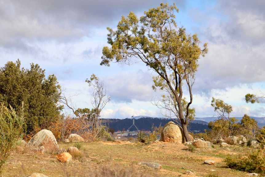 Parliament House rises up in the background of a landscape of boulders and dry grass.