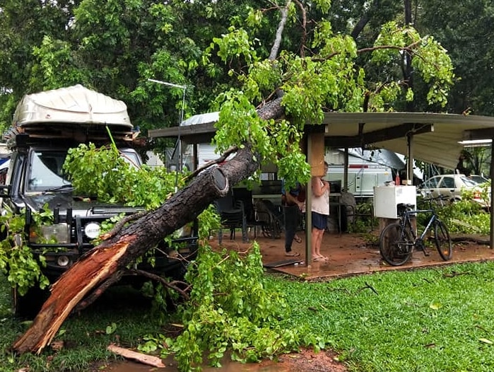 A tree ripped from the ground leans up against a four-wheel drive and a shelter. One of its branches has pierced the shelter.