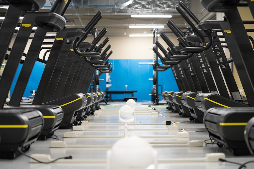 Dozens of running machines in two rows facing each other with a series of small fans in between.