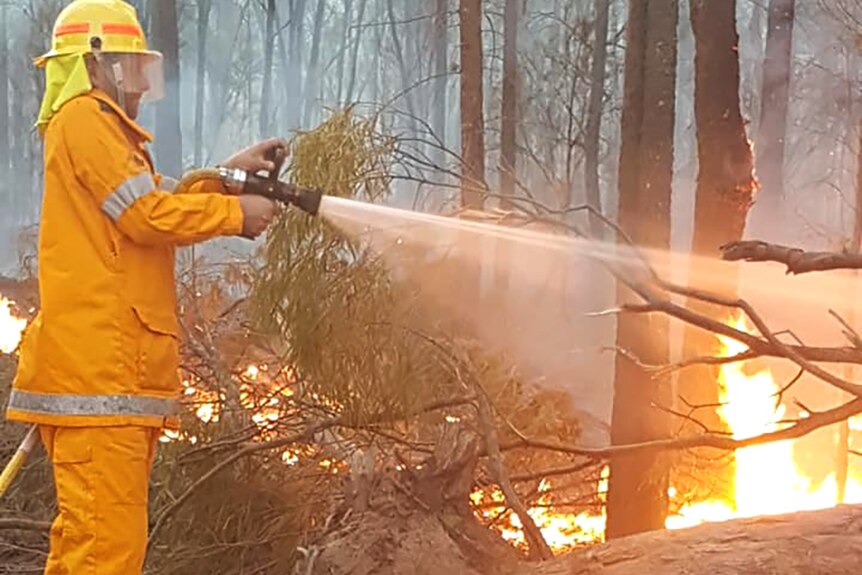 A rural firefighter hosing down a bushfire
