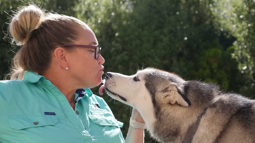 A woman kisses a dog which licks her face in return.