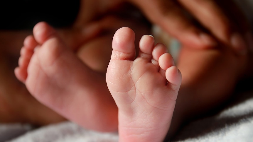 Close-up photo of baby feet laying on a white blanket.