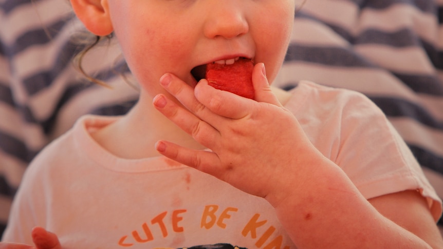 A young child eats a piece of watermelon.