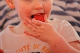 A young child eats a piece of watermelon.