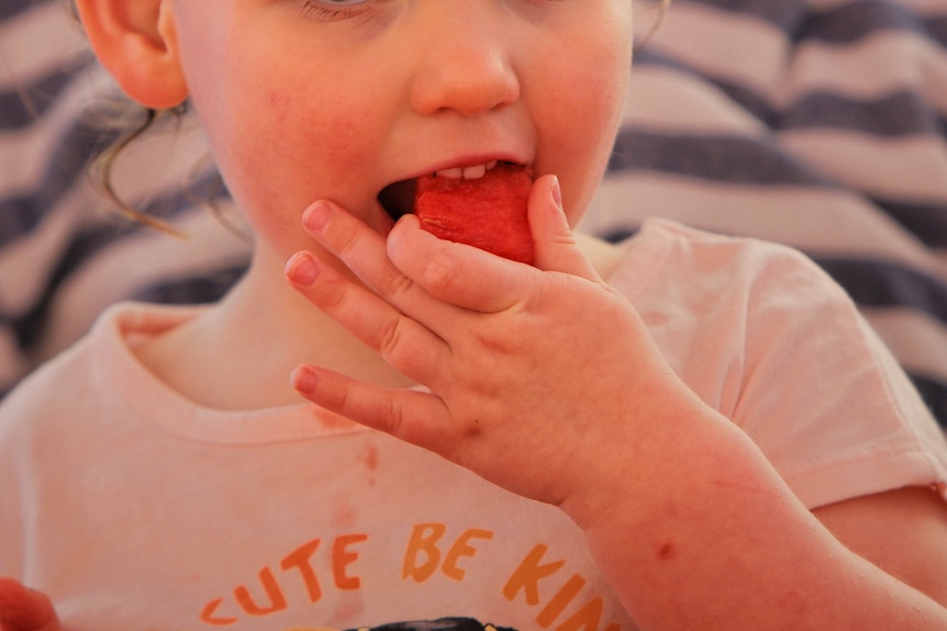 A young child eats a piece of watermelon.