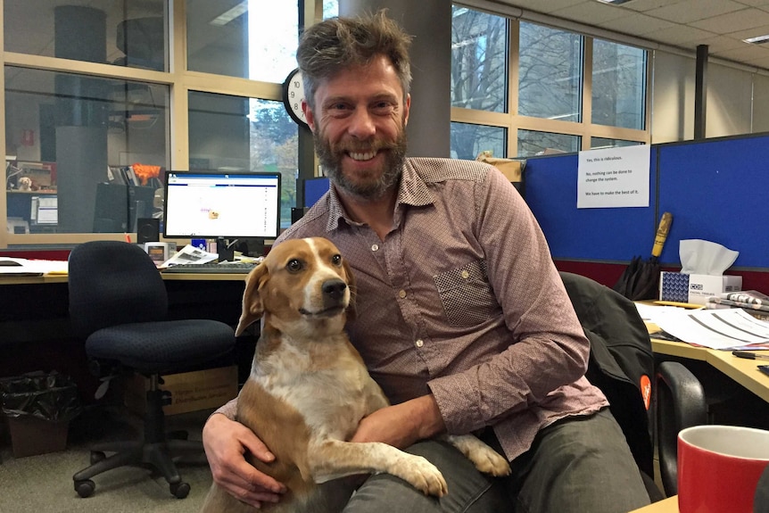 Man smiling with hid beagle dog in an office