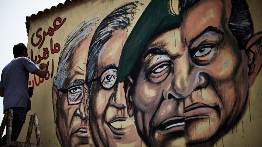 Artist paints mural of Egyptian political figures