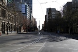 An empty city street with a tram line