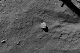 Philae: view of comet Churyumov-Gerasimenko from an altitude of 67.4 metres