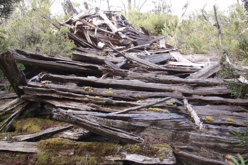Ten Yard Hut pile of logs