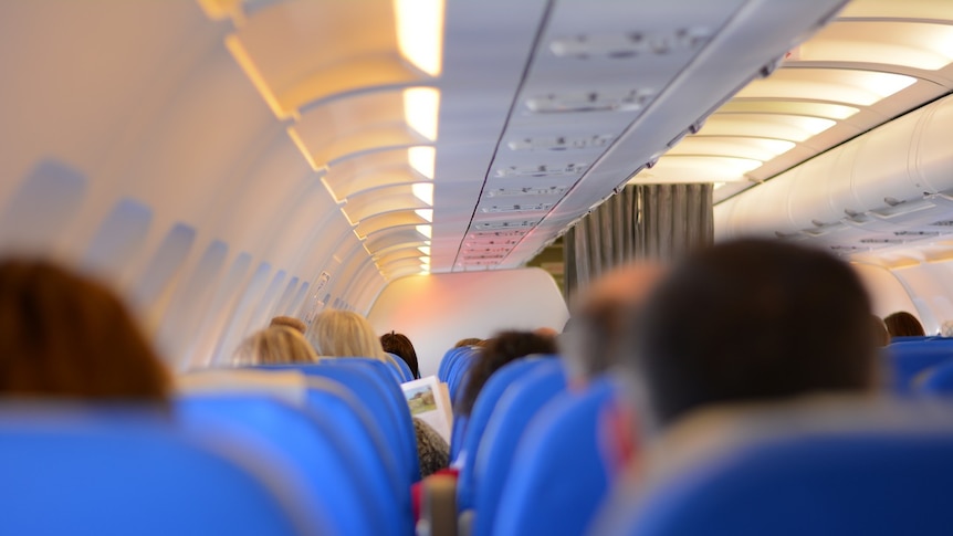 People sitting on a plane.