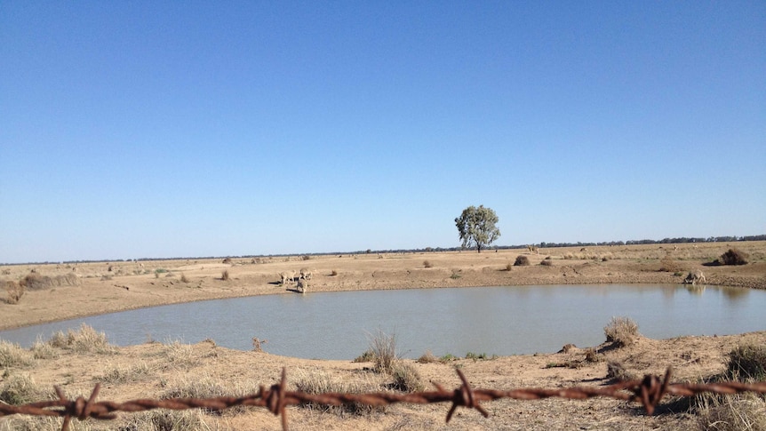 Recent rain help to replenish farm dams