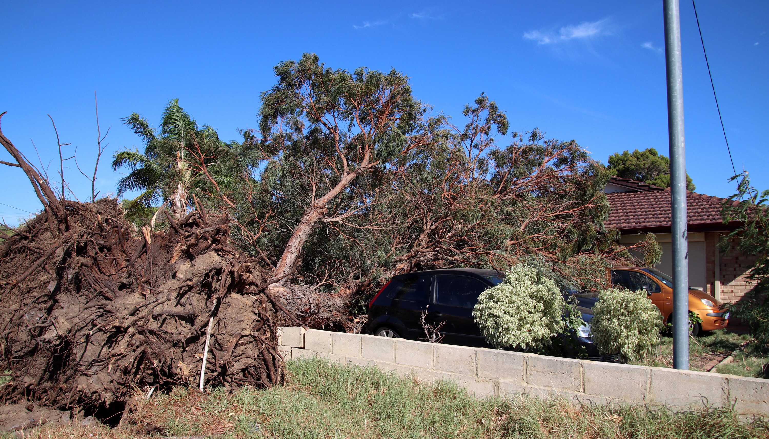 Damaging winds and bushfire cut power to 10,000 WA homes - ABC News