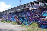 Graffiti of a colourful dragon painted on a wall of the Red Hill Skate Arena in inner-city Brisbane.