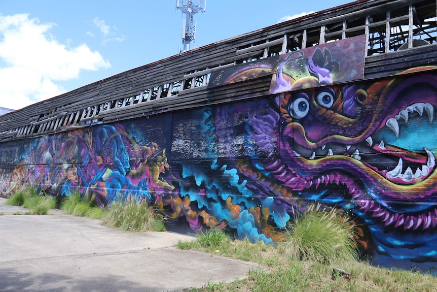 Graffiti of a colourful dragon painted on a wall of the Red Hill Skate Arena in inner-city Brisbane.