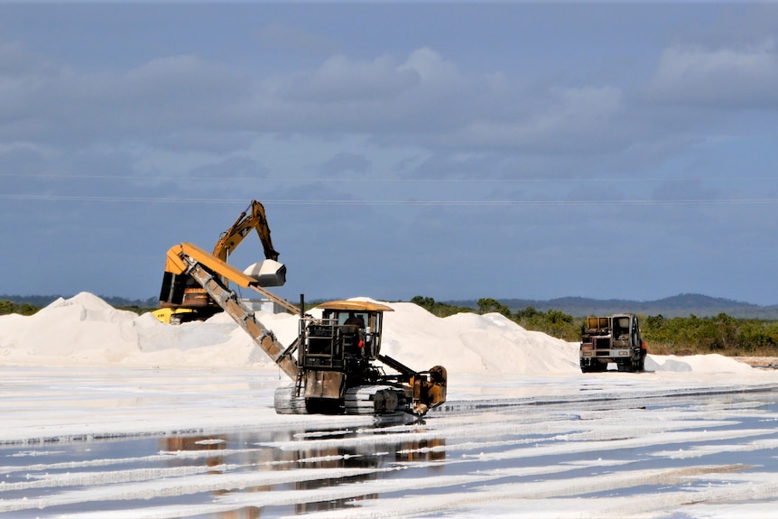 A big salt field with piles of salt being picked up by big yellow machinery