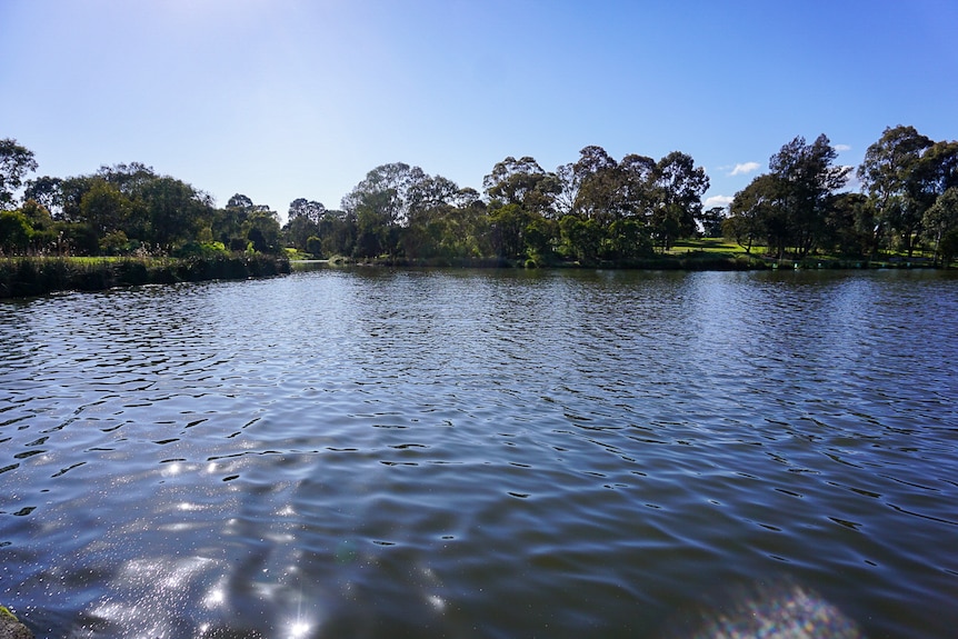 A photo of Edwardes Lake in Reservoir