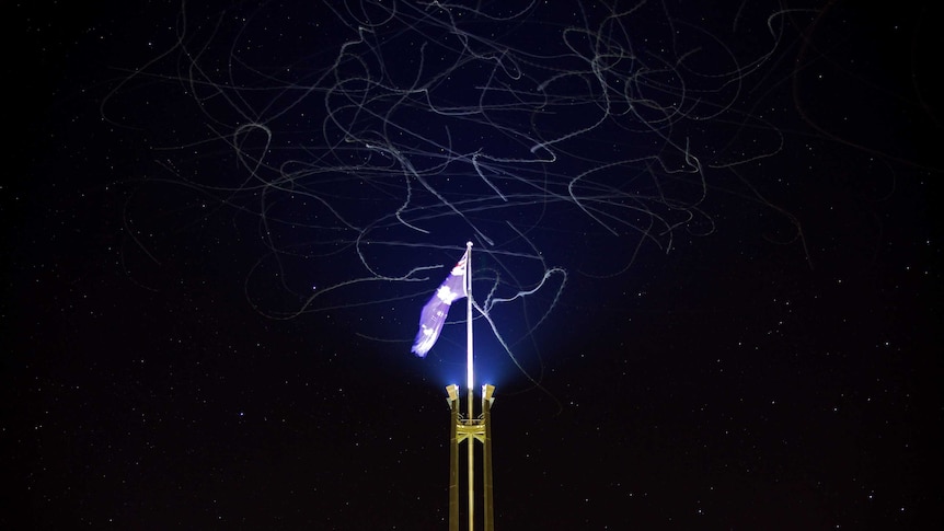 Seagulls chase moths outside Parliament House