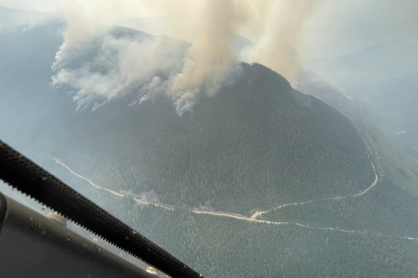 Smoke billows from a mountain full of tall trees, looking down from a helicopter.