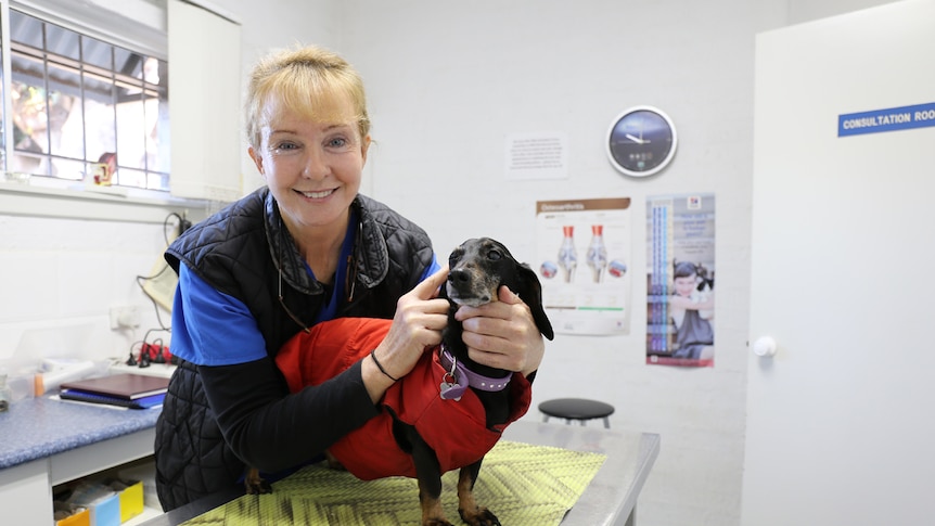 Roslyn Fitzgerald with dog at vet surgery