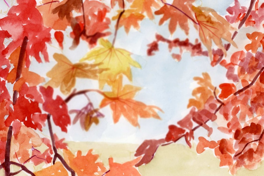 An illustration of autumn leaves on a tree, red and yellow in colour.