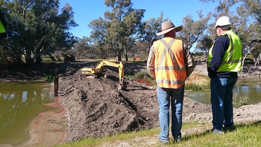 Workers dig up a block bank on the lower Darling River.