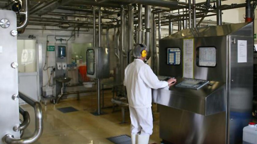 Worker operates machinery at Fonterra cheese factory