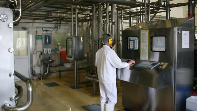 Worker operates machinery at Fonterra cheese factory Wynyard, Tasmania