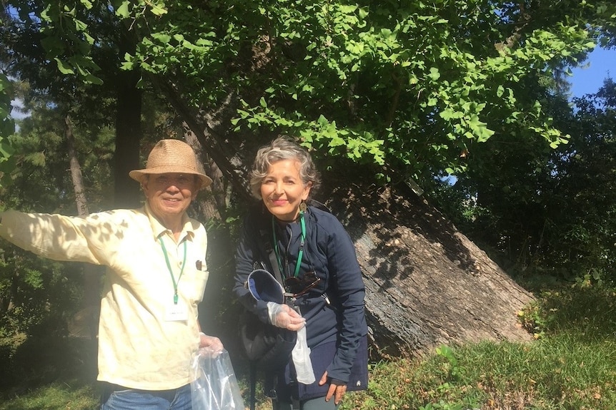 Green Legacy Hiroshima co-founder, Nassrine Azimi, and master gardener, Chikara Horiguchi, picking seeds at Shukkeien Garden.