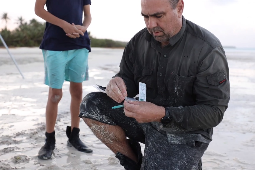 Dr Scott Whiting researching the health of turtle in the Cocos Keeling Islands