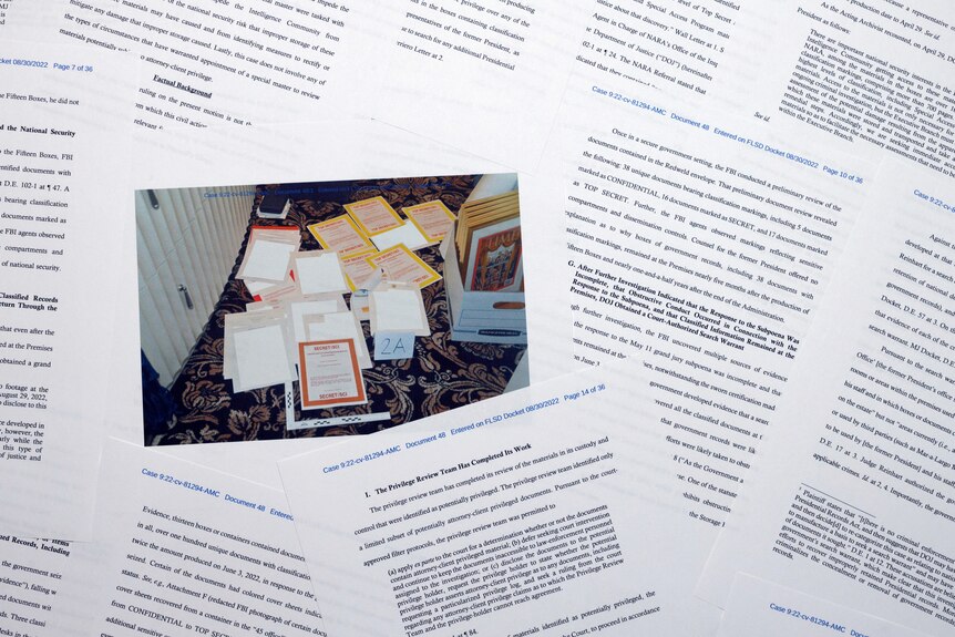 Pages from a Department of Justice court filing, including a photo of more files.