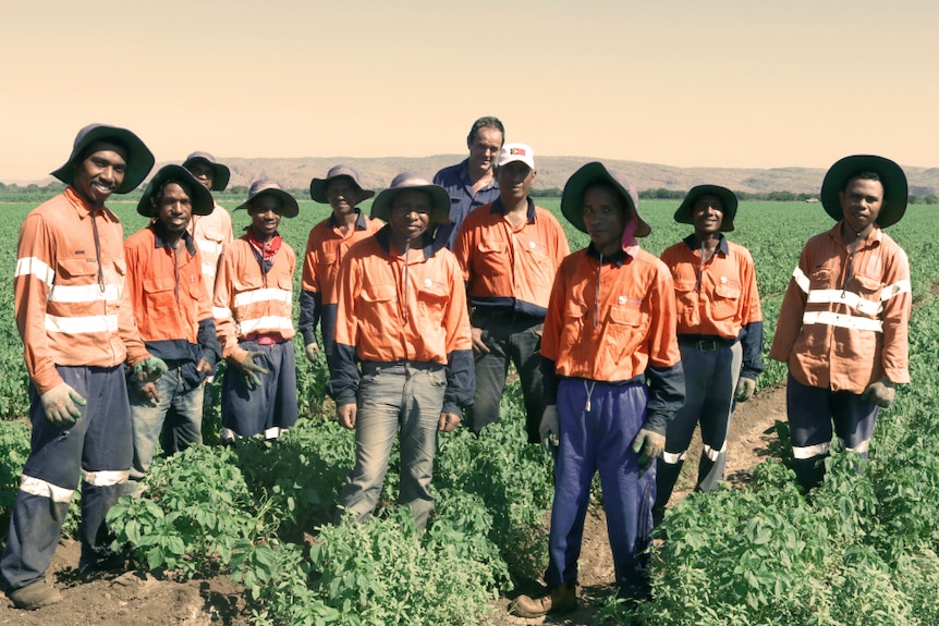 A group of seasonal workers in a field.