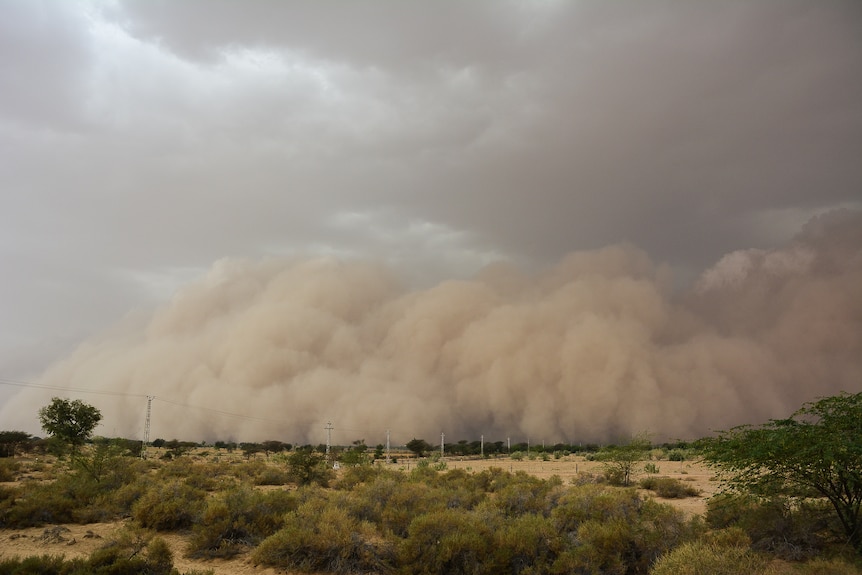 A great brown storm is gathering over a distant city.