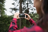 Woman takes photos of trees with her smartphone