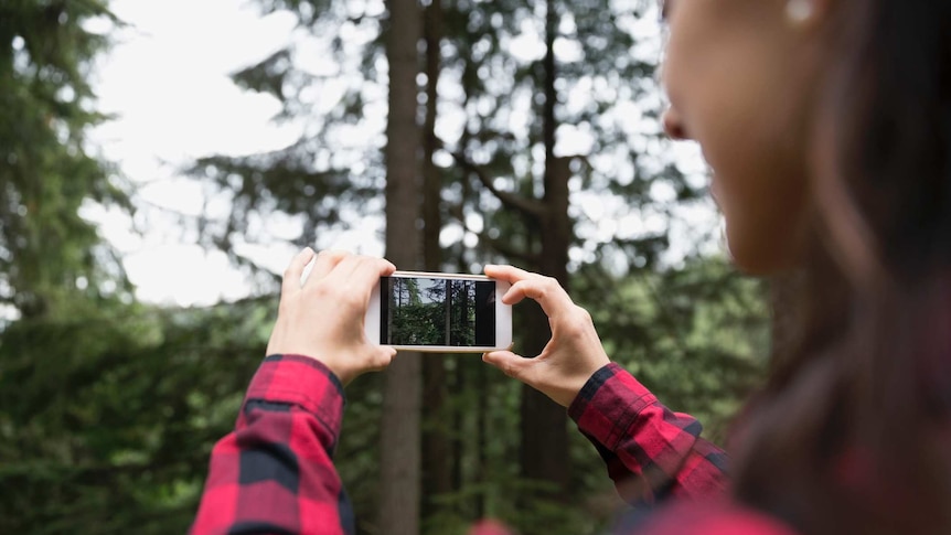 Woman takes photos of trees with her smartphone