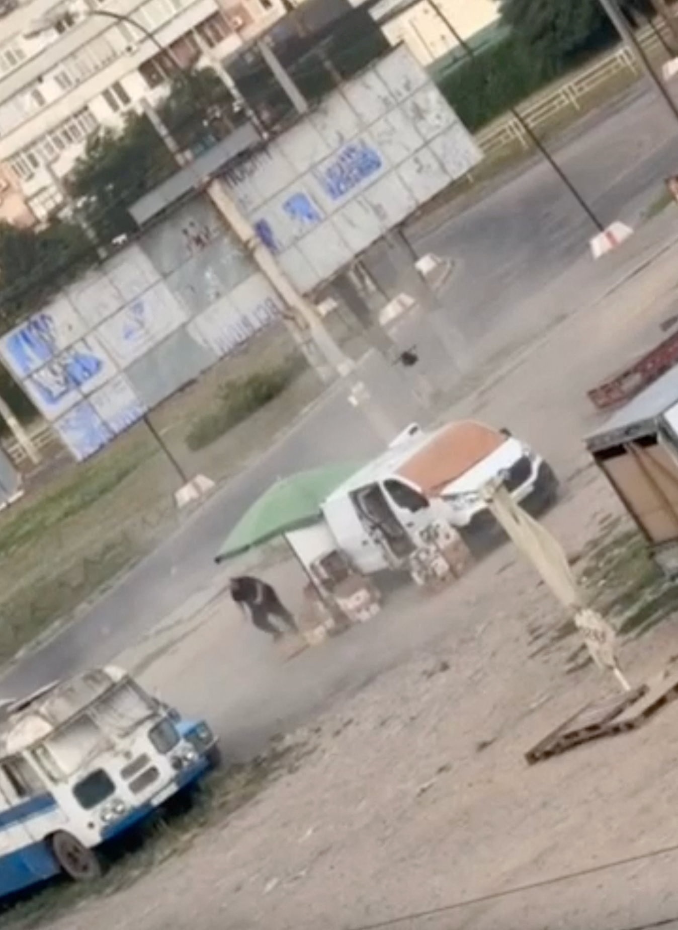 'The world must see': Zelenskyy shares video of drone hunting down vegetable seller