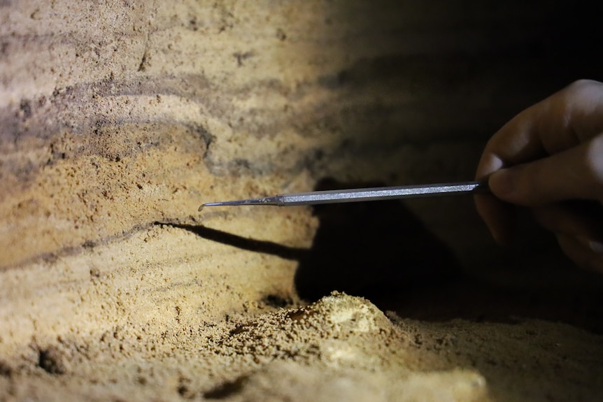A dental pick being used to point out layers of sediment